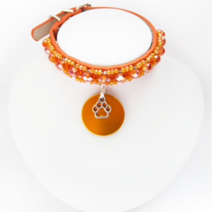 Collier Chiot Simple Orange