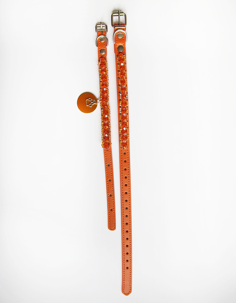 Collier Chiot Simple Orange – Image 5