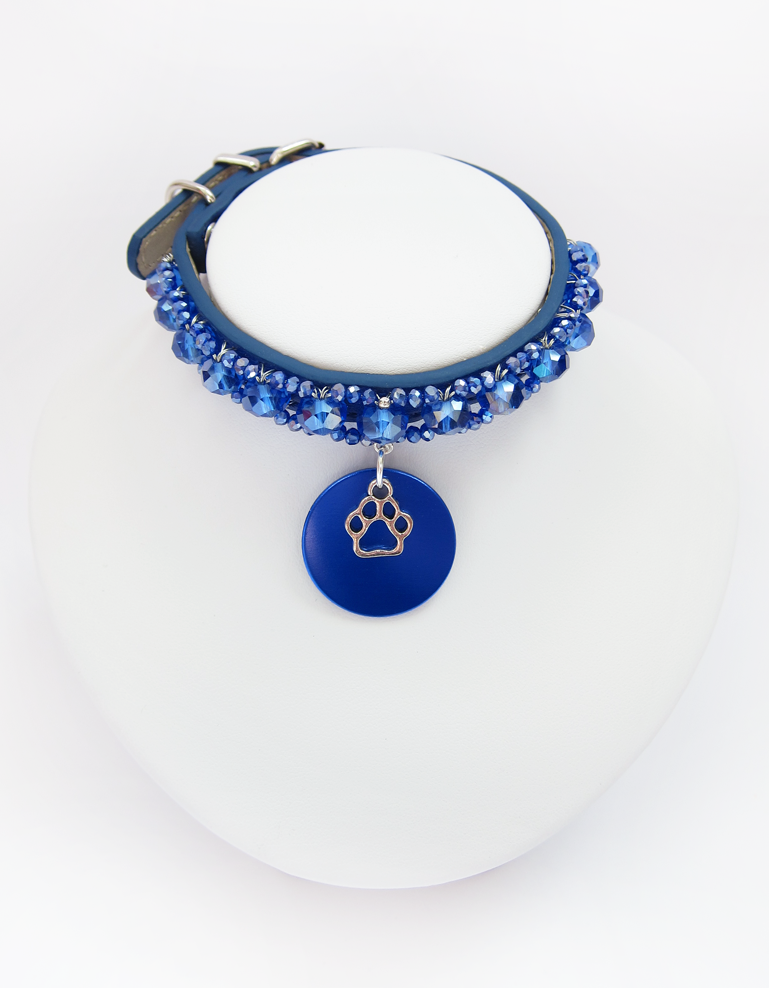 Collier Chiot Simple Bleu roi