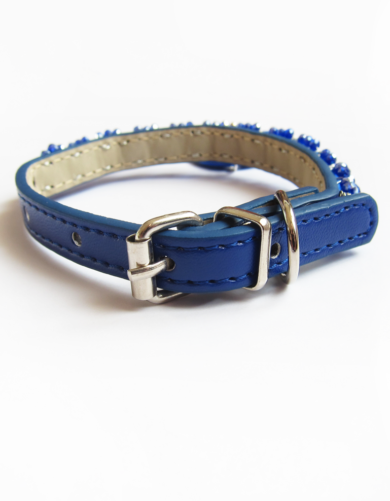 Collier Chiot Simple Bleu roi – Image 4