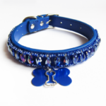 Collier Chien Gouttes Bleu roi