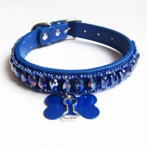 Collier Chien Gouttes Bleu roi